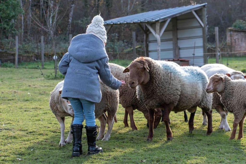 Maison Au Milieu Des Bois Et Des Animaux Jouy-le-Potier Eksteriør bilde