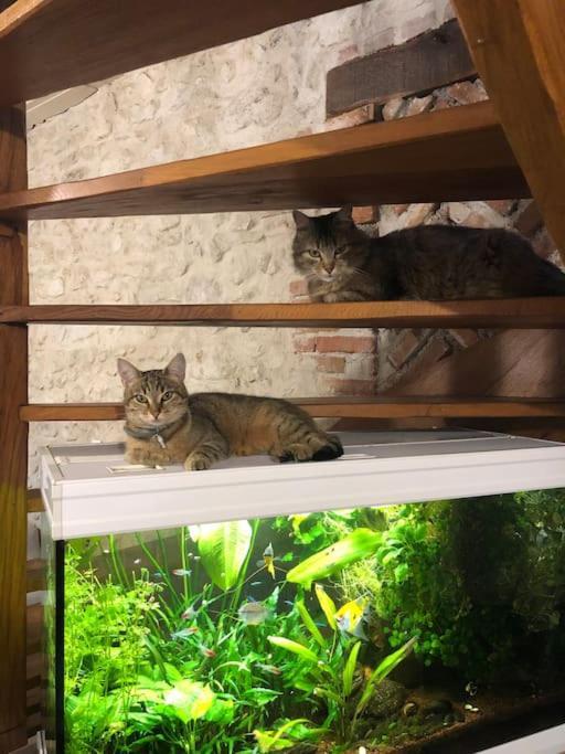 Maison Au Milieu Des Bois Et Des Animaux Jouy-le-Potier Eksteriør bilde