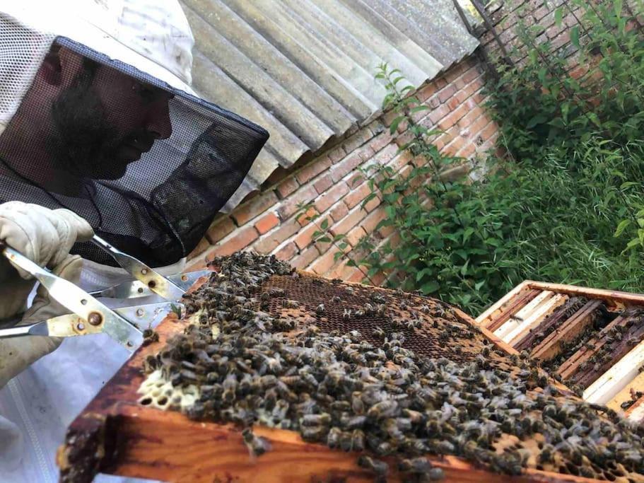 Maison Au Milieu Des Bois Et Des Animaux Jouy-le-Potier Eksteriør bilde